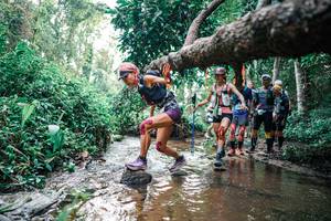 BIB: 
                            <button type="button" onclick="openModal(25369331)" class="btn btn-primary btn-sm float-right btn-popup" data-toggle="modal" data-target=".modal-high-quality">
                        <i class="fas fa-shopping-cart"></i> Add to Cart
                    </button>
                                            <button type="button" onclick="isThisMe(25369331, true)" class="btn btn-success btn-sm float-right btn-popup btn-isme hidden" data-toggle="tooltip" data-placement="bottom" title="นี่คือรูปของคุณใช่ไหม คลิกที่นี่เพื่อเอาเข้าอัลบั้ม">
                        <i class="fas fa-plus"></i> Add to album
                    </button>
                    <button type="button" onclick="isThisMe(25369331, false)" class="btn btn-warning btn-sm float-right btn-popup btn-isnotme hidden">
                        <i class="fas fa-ban"></i> Remove from album
                    </button>